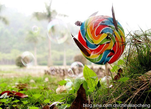 寶島臺(tái)灣過新年，體驗(yàn)臺(tái)北平民的時(shí)尚生活